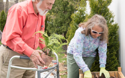 Three Must-Have Spring Houseplants For Greenery-Loving Seniors