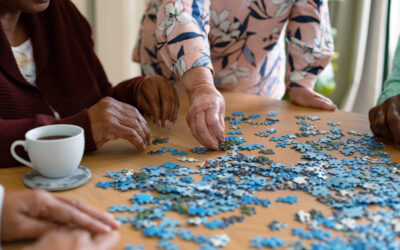 Fun For Everyone! Celebrate National Game & Puzzle Week With The Seniors Helping Seniors® Team