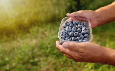 Have a Berry Healthy Summer with 4 Delicious Blueberry Recipes for Seniors