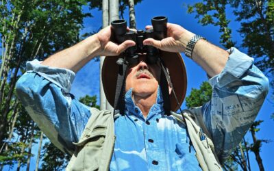 Birdwatching Made Easy for Seniors: How to Create the Perfect Backyard Bird Haven